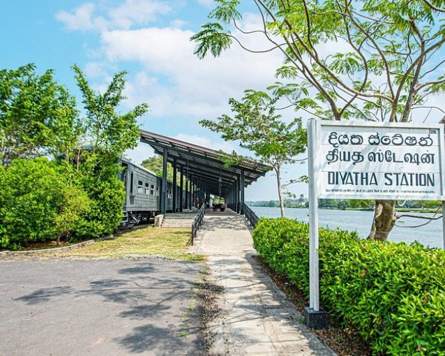 Dining Experience all aboard for a culinary